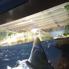 IMG 041